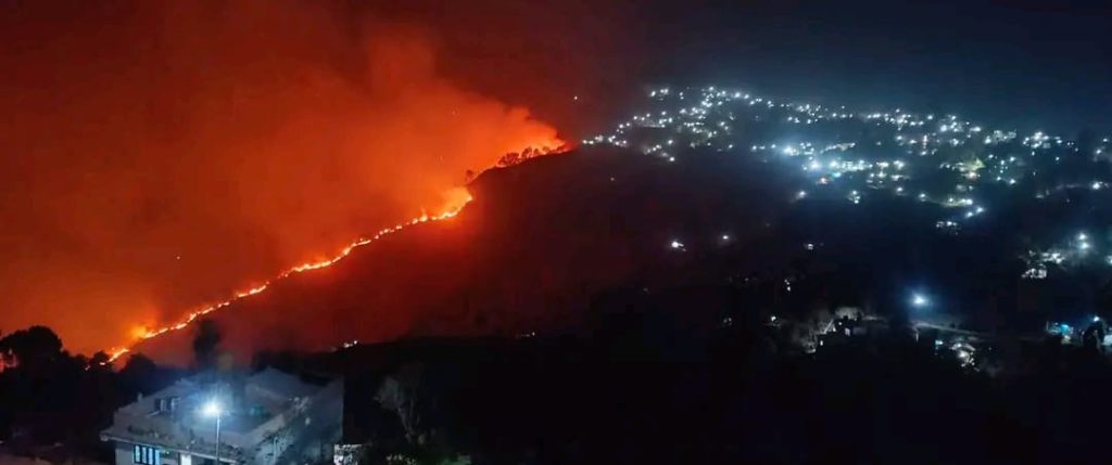 बस्ती नजिकै धनकुटाको दुई वटा सामुदायिक बनमा भिषण आगलागी
