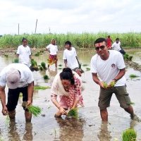 धान दिवसको उल्लास, तर बिउमा अर्बौँको परनिर्भरता कायमै