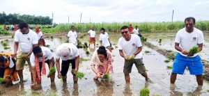 धान दिवसको उल्लास, तर बिउमा अर्बौँको परनिर्भरता कायमै
