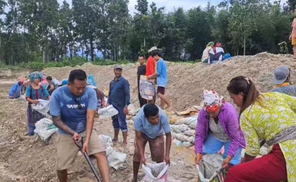 वाईसीएलद्वारा श्रमदान : वृक्षारोपणदेखि बाँध निर्माणसम्म