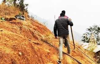 पाँचथरमा बाँदर लखेट्न हेरालु नियुक्त