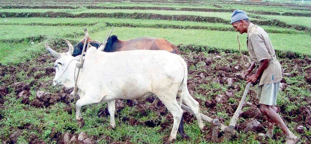 मलको चरम अभाव : चिठी आयो तर सप्लायर्सले मल ल्याएनन्