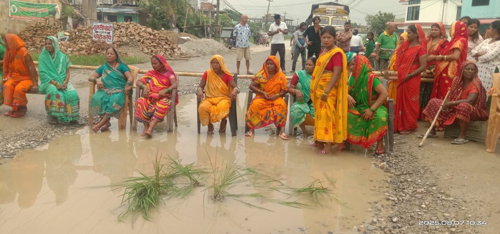 हुलाकी सडक निमार्णमा ढिलासुस्ती : कटहरीमा सडकमै धान रोपेर विरोध