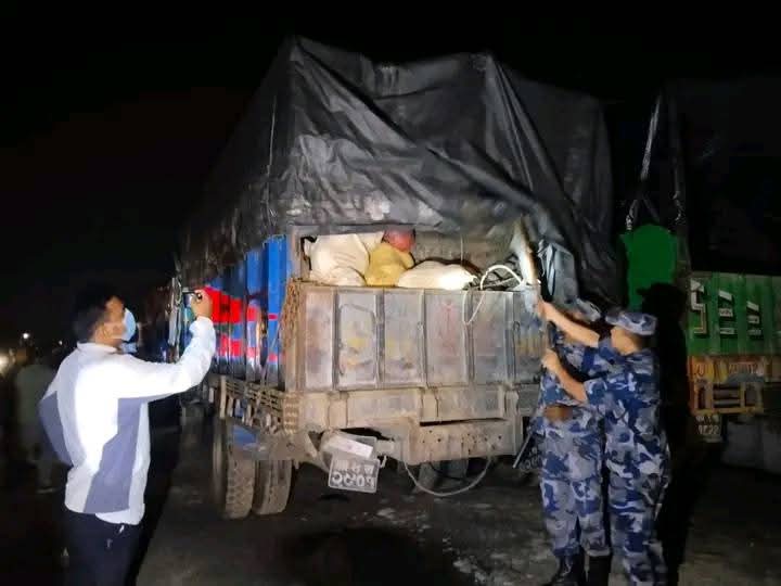 इटहरीबाट ५ हजार किलो गाँजा बरामद