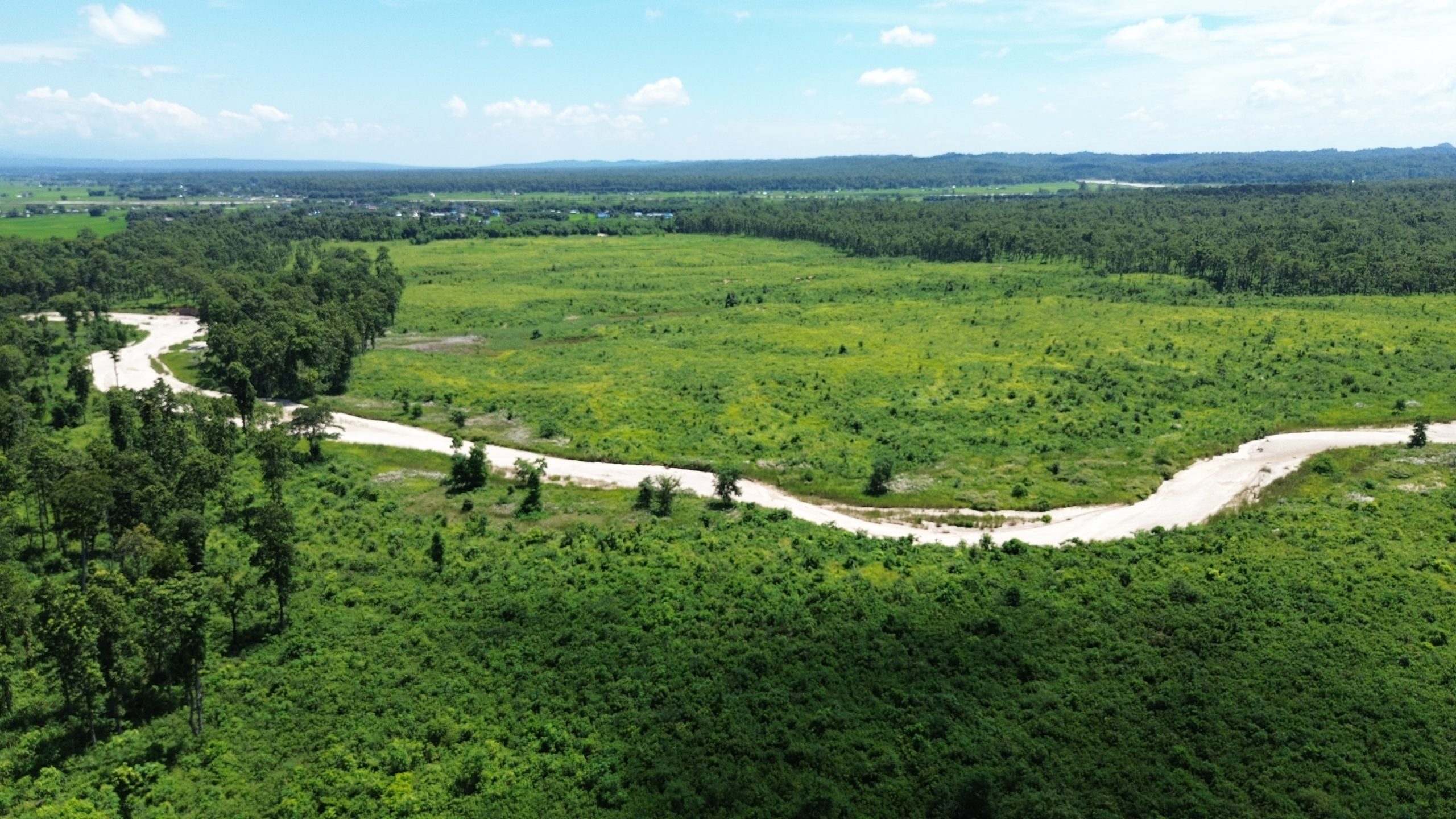 भोट राजनीतिले उजाडियो जोगीदह क्षेत्रको १०५ हेक्टर जंगल !