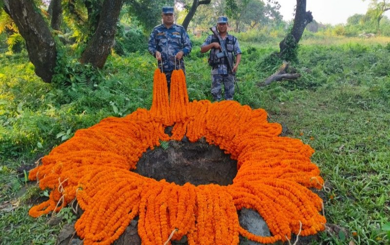 भारतबाट ल्याइएको अवैध सयपत्री फूल र तरकारी खाल्डोमा पुरेर नष्ट