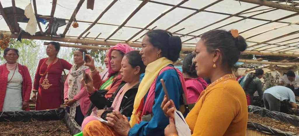 गड्यौला मल उत्पादनमा जोड दिँदै भोजपुरको पौवादुङ्मा