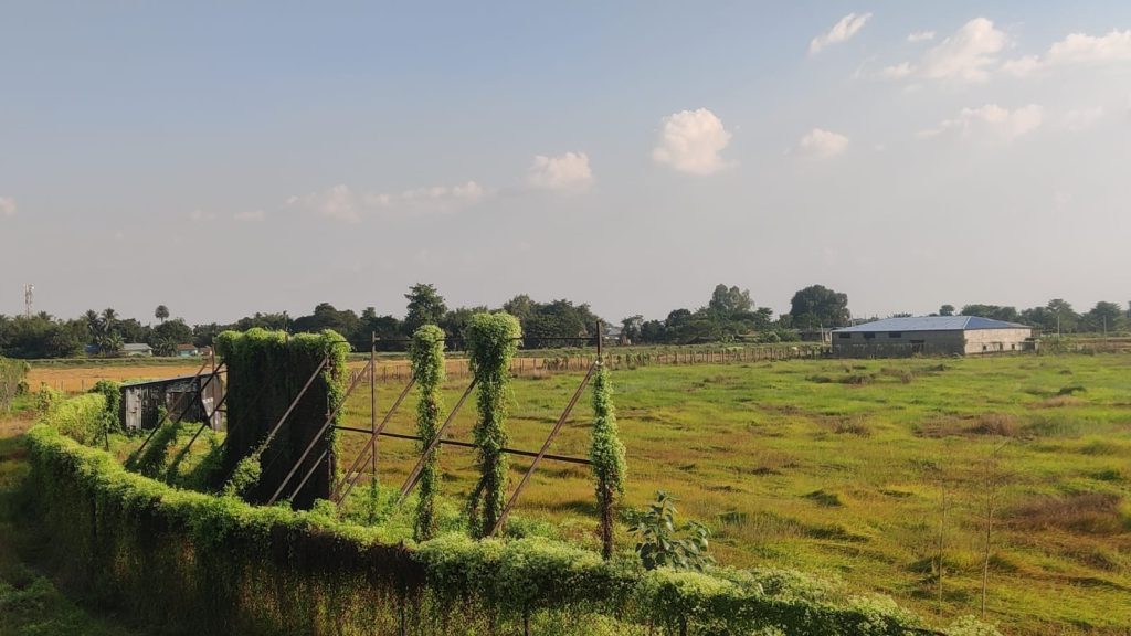 झाडीमा परिणत भयो विराटनगरको बैजनाथपर रंगशाला, खेलकुदको जग्गामा व्यक्तिको खेती