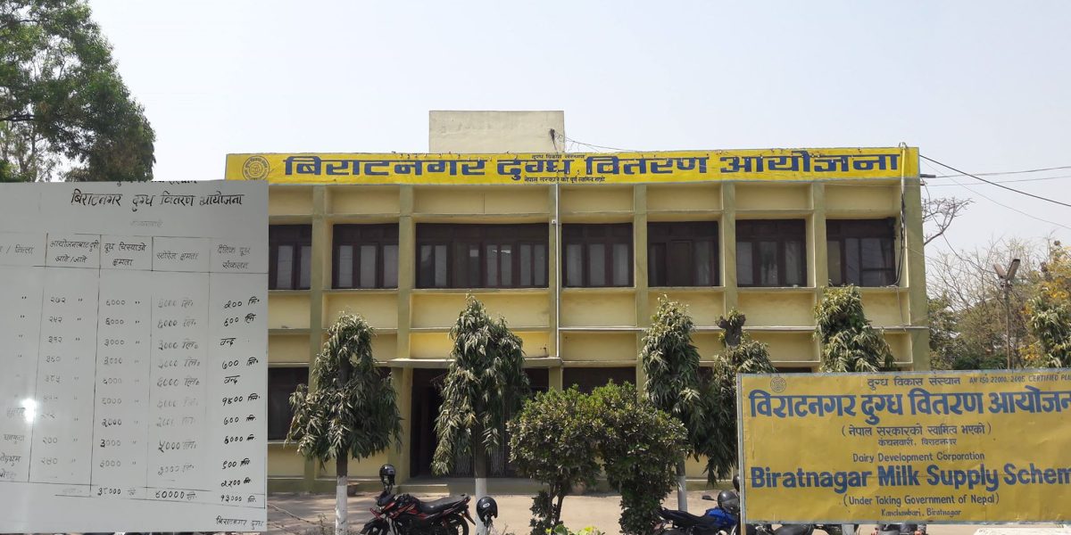 खुला दुधले बजार कब्जा गर्दा संकटमा डिडिसी, किसानले दुध दिनै छाडे