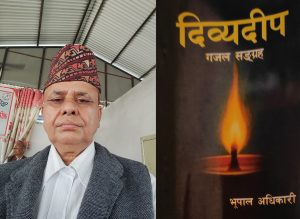 पुस्तक समीक्षा: ‘दिव्यदीप’ लाई दृष्टि लगाउँदा