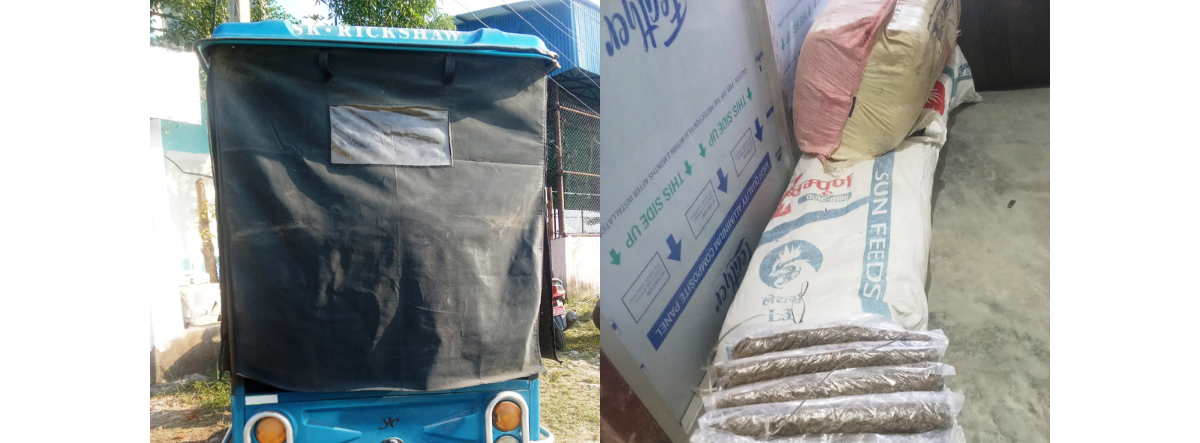 एक क्विन्टल गाँजासहित दुई जना पक्राउ