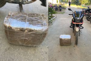 लागुऔषध गाँजासहित पक्राउ