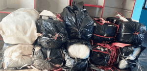 धरान र इटहरीबाट करिब तीन क्विन्टल गाँजा बरामद