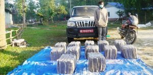 सशस्त्रले नियन्त्रणमा लियो डेढ क्विन्टल गाँजा