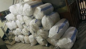 सुनसरीको धरानका २५ वर्षे युवक १० क्विन्टल गाँजासहित पक्राउ