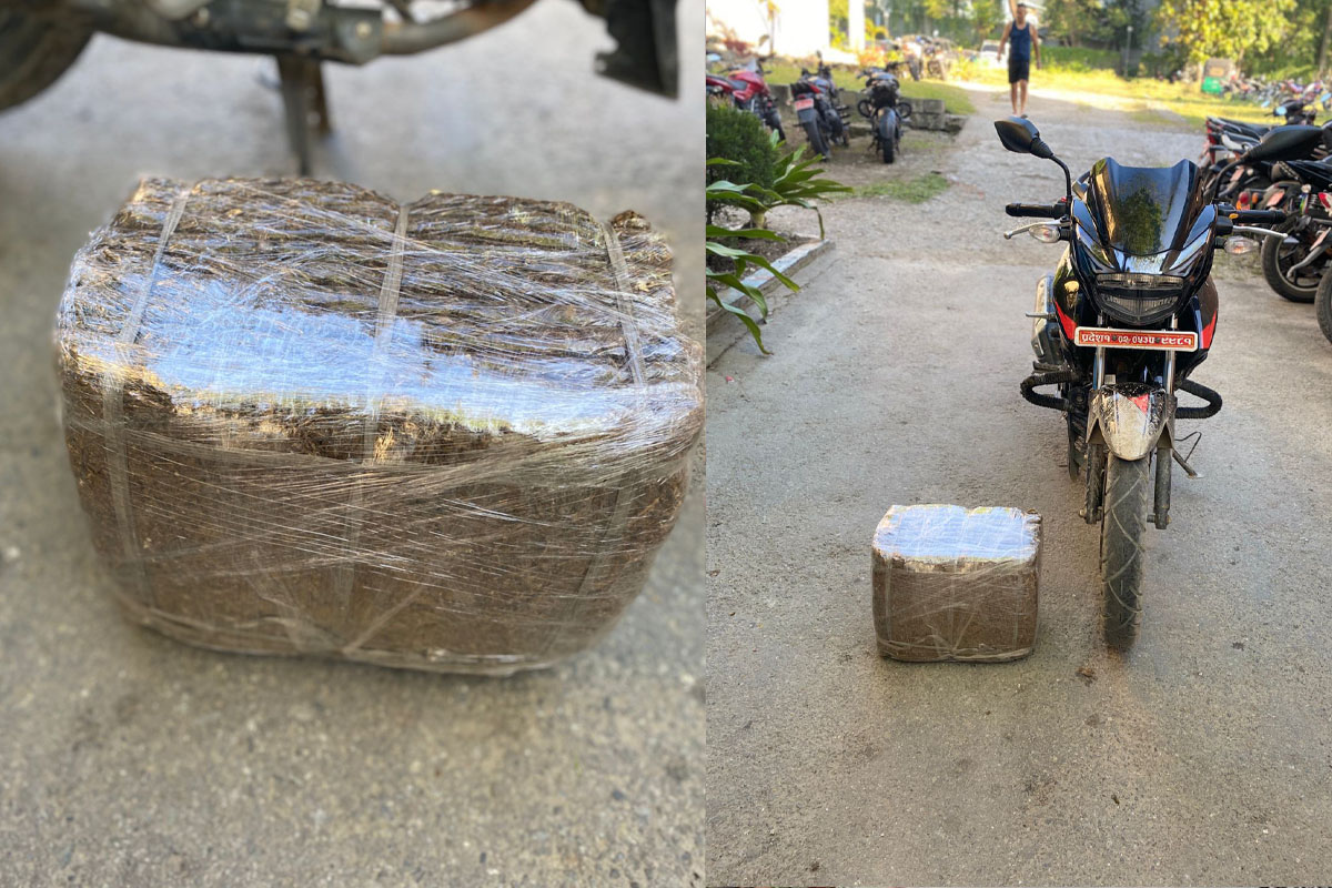 लागुऔषध गाँजासहित पक्राउ