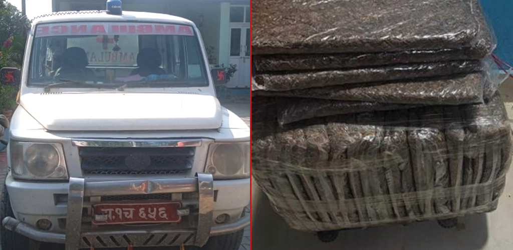 रेडक्रसको एम्बुलेन्सबाट अबैध लागुऔषध गाँजा बरामद