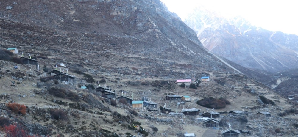 चिसो बढेसँगै खाली हुन थाले उच्च हिमाली बस्ती