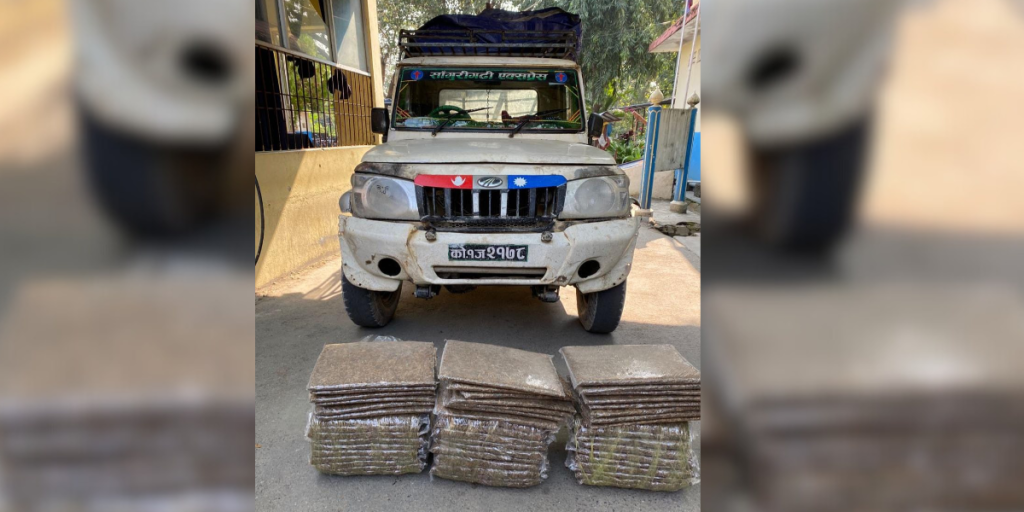 धरानमा ५० केजी गाँजासहित दुई जना पक्राउ