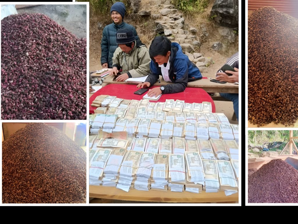 संखुवासभाको गोगने : जहाँ पसिना पैसा बनेर टेबुलमा बर्सिन्छ