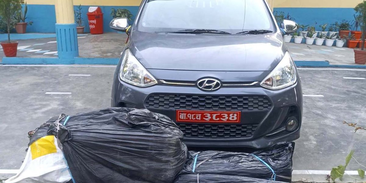 धरानमा कारबाट १३० किलो गाँजा बरामद