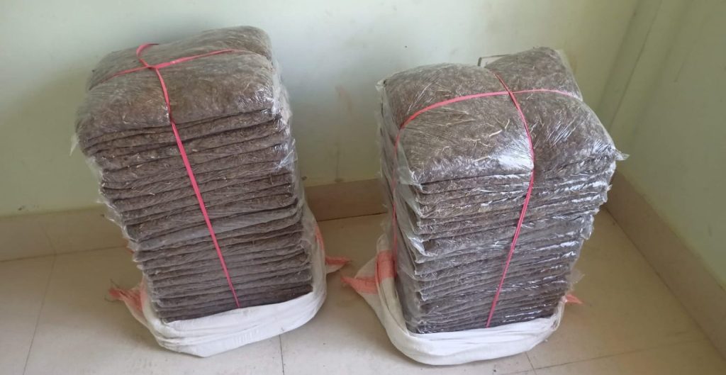 सुनसरीबाट ८० किलोभन्दा बढी गाँजासहित दुई पक्राउ