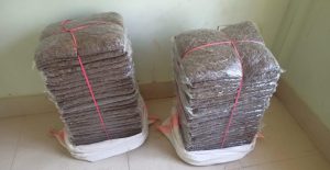 सुनसरीबाट ८० किलोभन्दा बढी गाँजासहित दुई पक्राउ