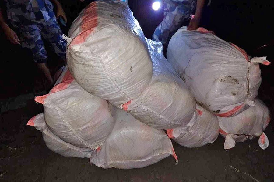 मोरङको रंगेलीबाट ९ क्विन्टल गाँजा बरामद