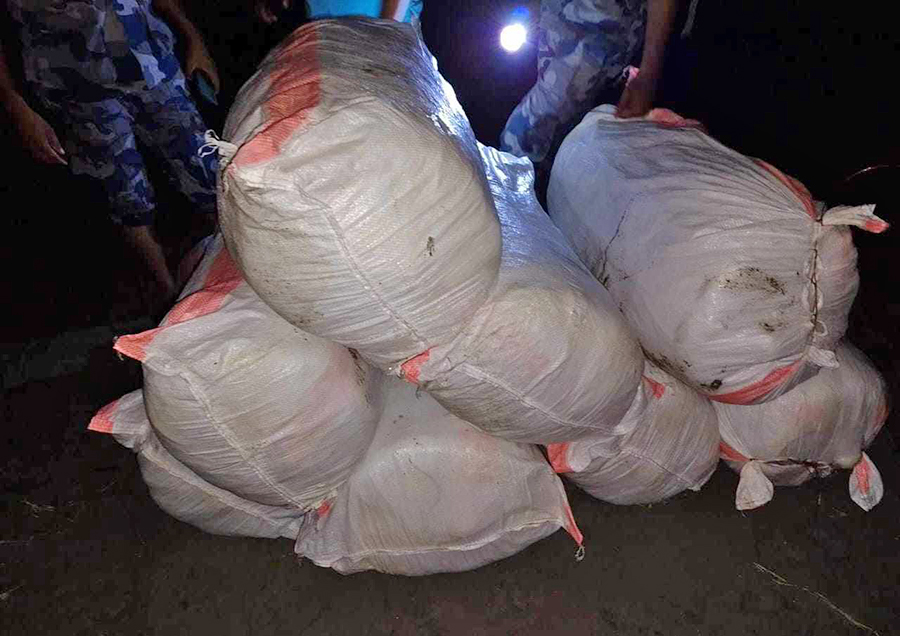 मोरङको रंगेलीबाट ९ क्विन्टल गाँजा बरामद