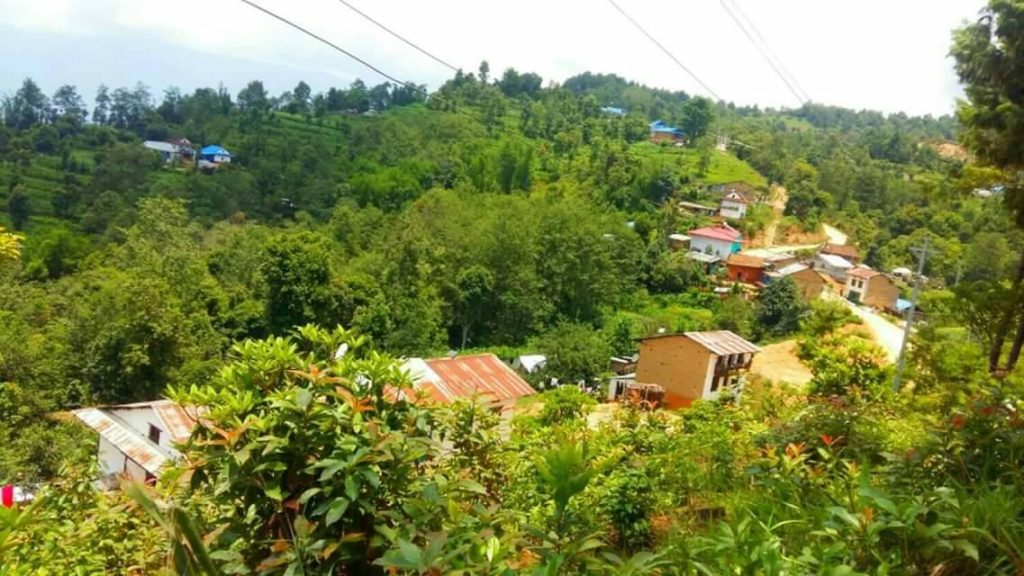 काफ्ले डाँडा पर्यटकीय गन्तव्यको रुपमा विकास हुँदै