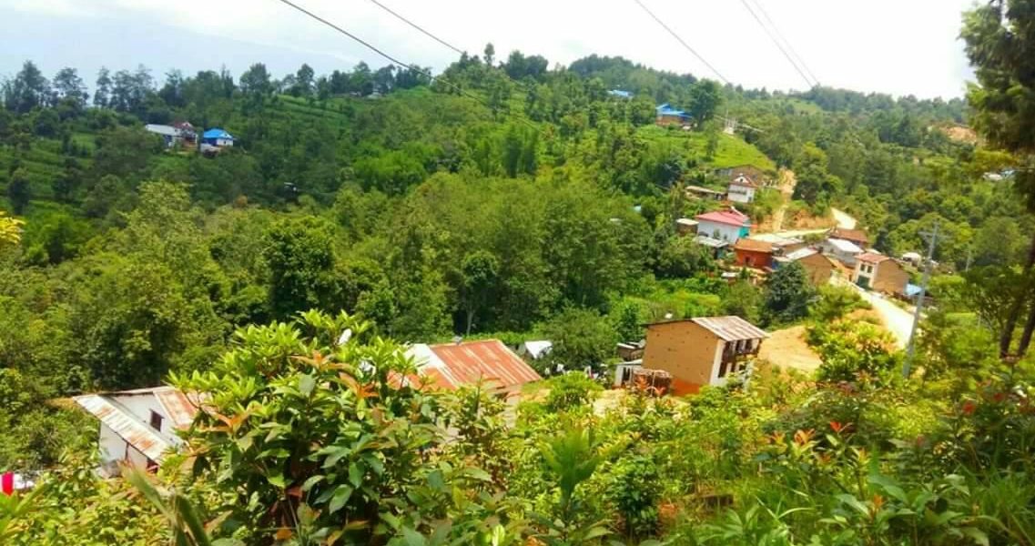 काफ्ले डाँडा पर्यटकीय गन्तव्यको रुपमा विकास हुँदै
