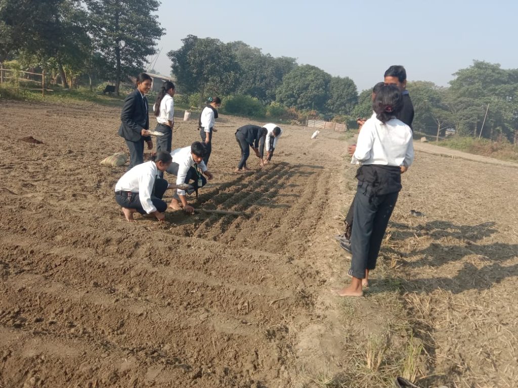 ‘पढ्दै कमाउँदै’ अभियान : विद्यार्थीले सुरु गरे व्यावसायिक आलु र लसुन खेती