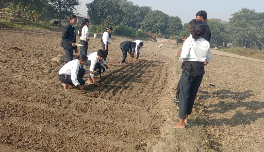 ‘पढ्दै कमाउँदै’ अभियान : विद्यार्थीले सुरु गरे व्यावसायिक आलु र लसुन खेती