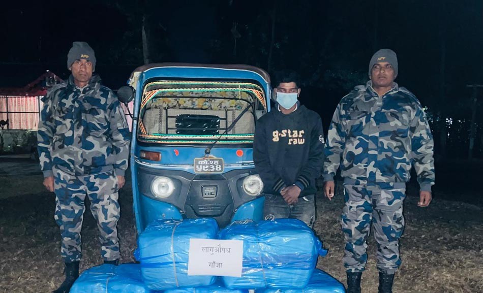 सशस्त्र प्रहरीद्वारा १५० केजी गाँजासहित टेम्पो चालक पक्राउ