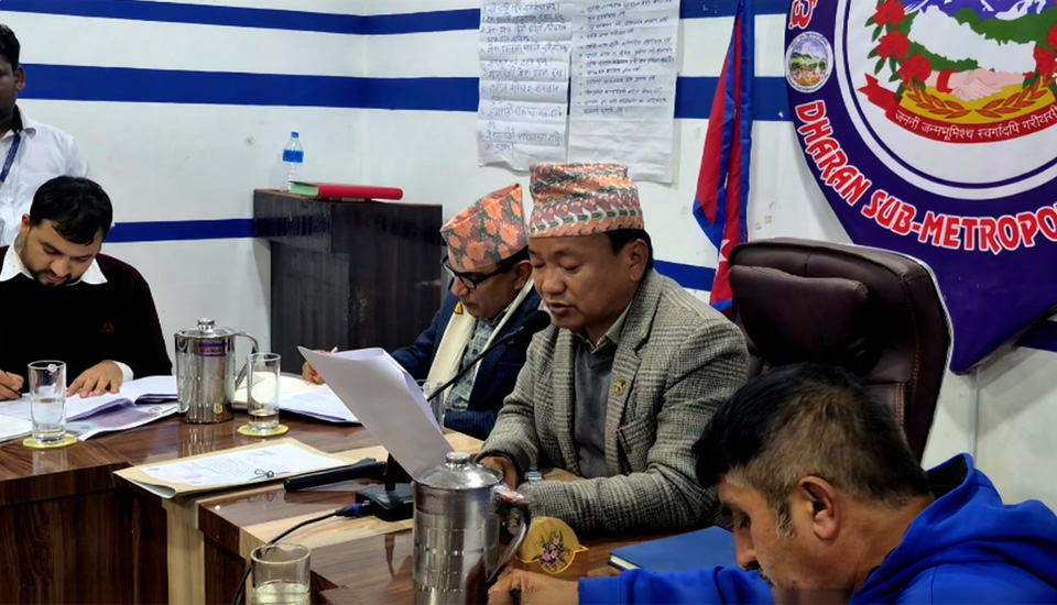 निरौलामाथि कारबाही गर्ने र चौलागाईंको रवाना बदर गर्ने धरान कार्यपालिकाको निर्णय