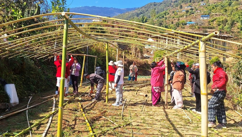 टेम्केका महिलालाई व्यावसायिक तरकारी खेती तालिम