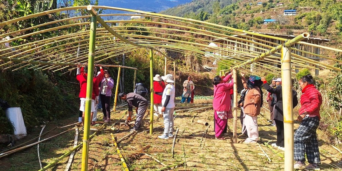 टेम्केका महिलालाई व्यावसायिक तरकारी खेती तालिम