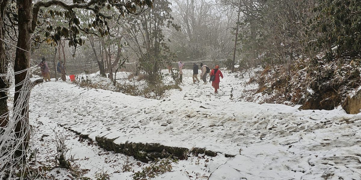 पाथीभरा क्षेत्रमा यस वर्षको दोस्रोपटक हिमपात, पदमार्गमा ट्रस लगाएपछि तीर्थयात्रीलाई सहज