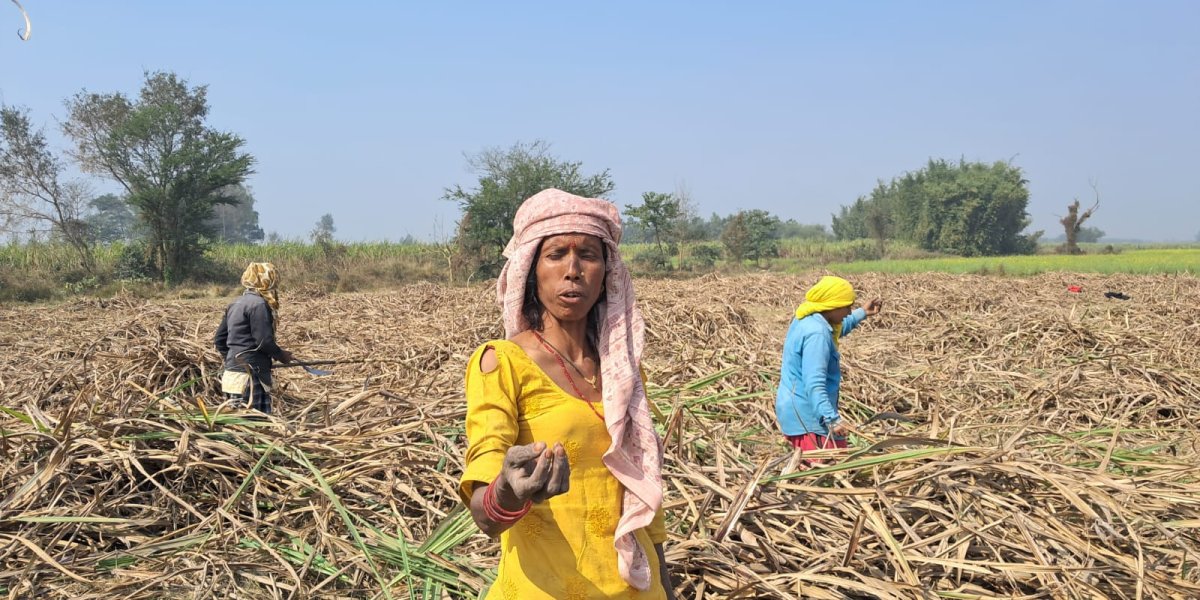 भोट माग्न आउँदा ढोग्छन्, प्यास मेट्न कल दिँदैनन्
