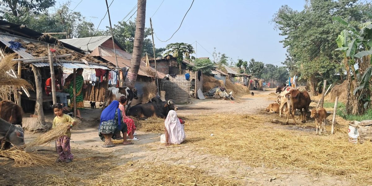 निर्वाचन एजेण्डा : नीति बनाउने कि नाली खन्ने ?