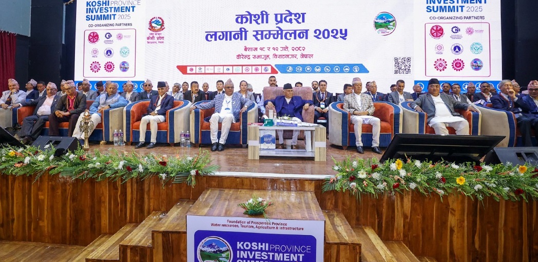 केही आयोजना सञ्चालनमा, केही नीतिगत चेपुवामा