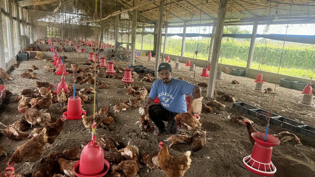 उर्लाबारीमा बर्ड फ्लु पुष्टि, उच्च सतर्कता अपनाउन निर्देशन