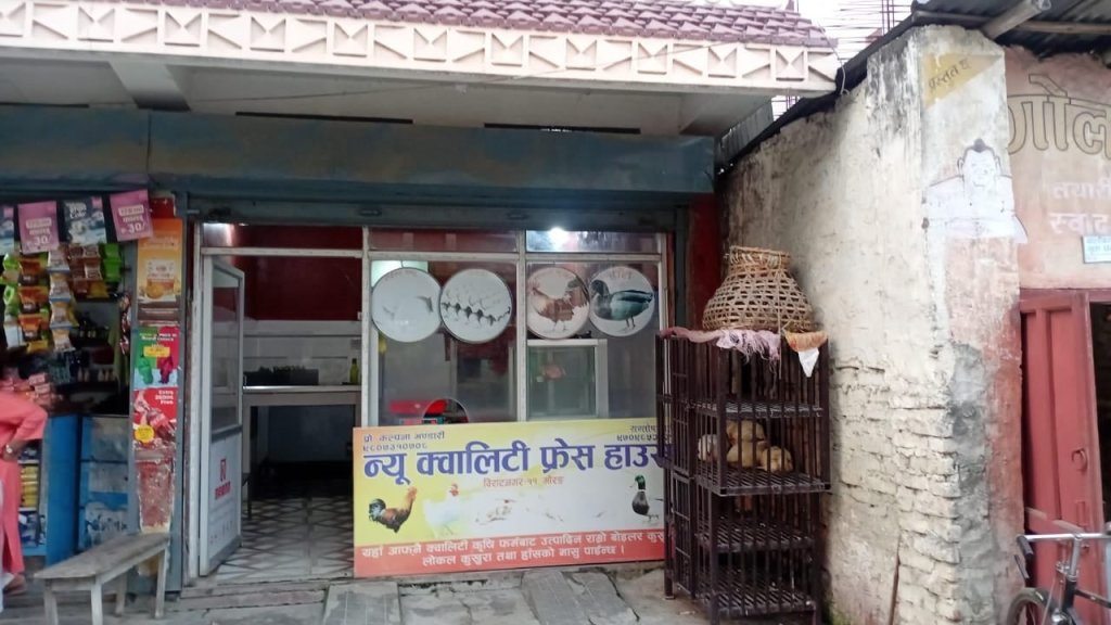 बिक्न छोड्यो बजारमा कुखुराको मासु