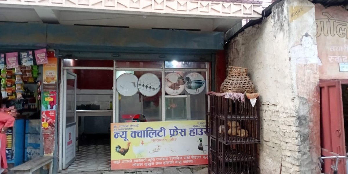 बिक्न छोड्यो बजारमा कुखुराको मासु