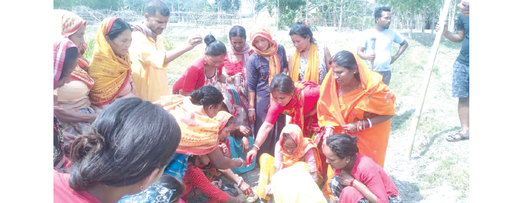 तराई मधेशमा जुडशीतलको उल्लास