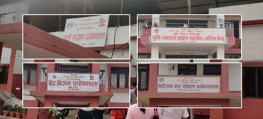माटोमा अम्लियपन बढ्दो, प्राङ्गारिक मलमा ठगी !