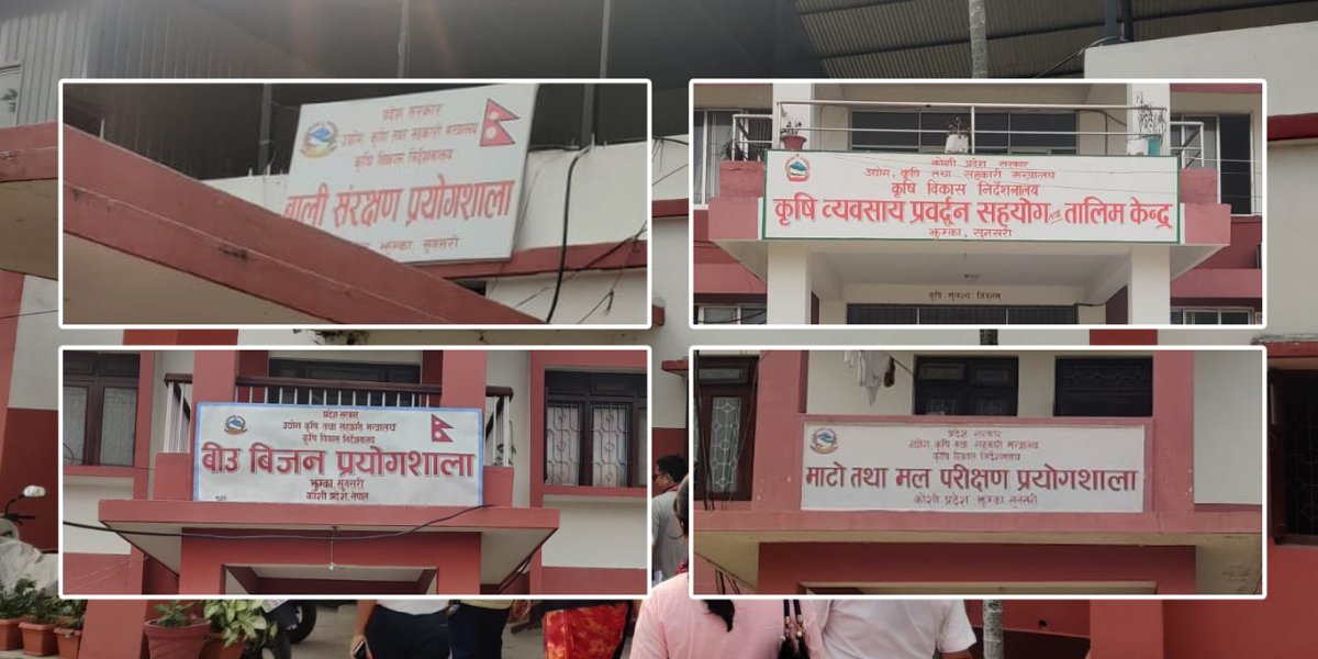 माटोमा अम्लियपन बढ्दो, प्राङ्गारिक मलमा ठगी !
