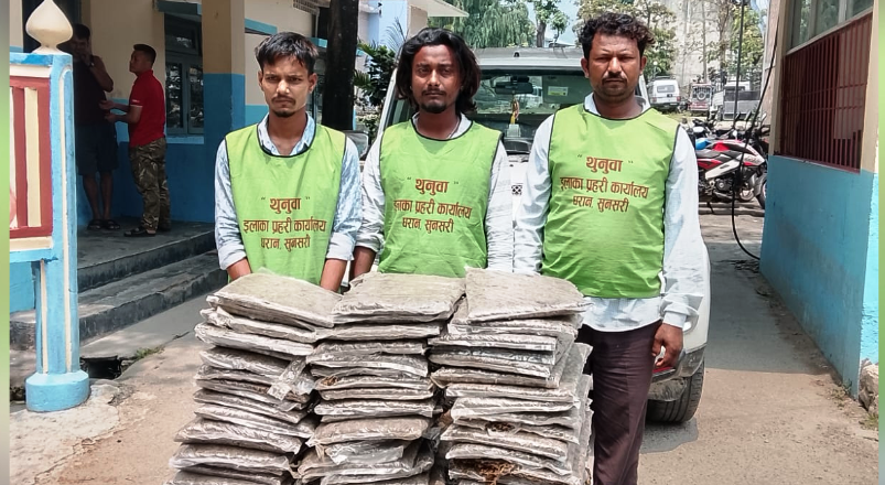 लागुऔषध गाँजासहित तीन भारतीय नागरिक पक्राउ