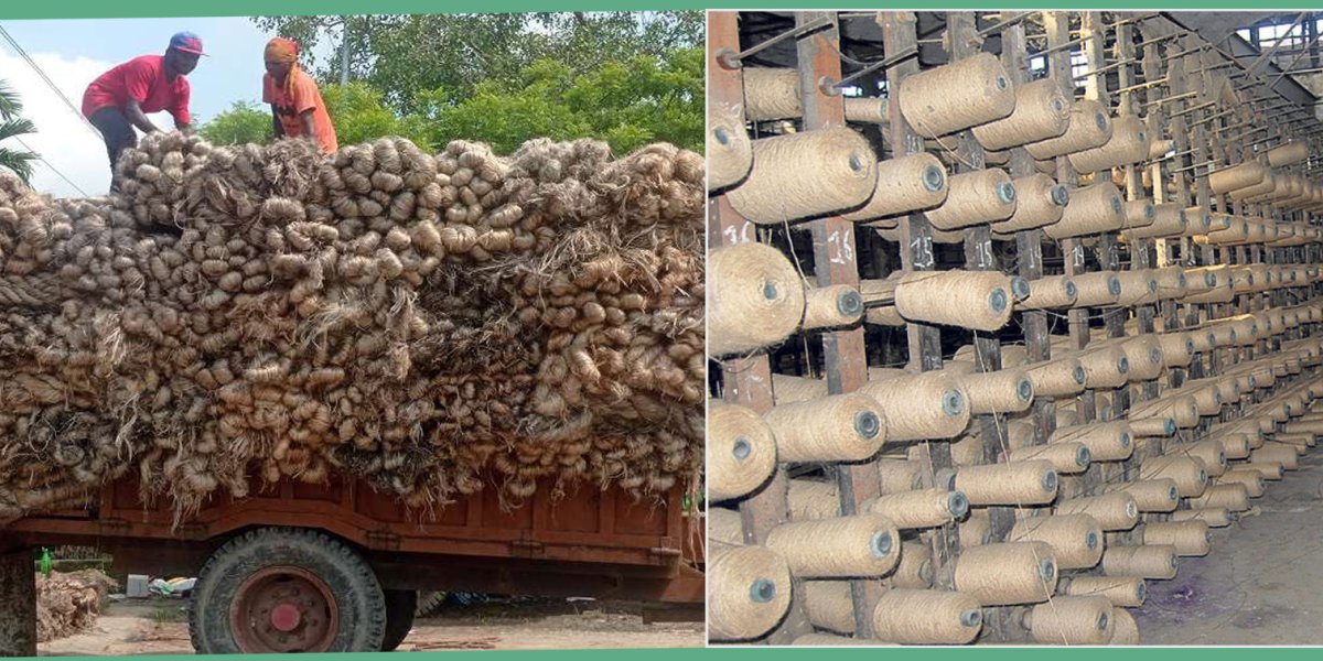 कच्चा जुटको साटो बंगलादेशबाट आउन थाल्यो जुटको धागो र कपडा