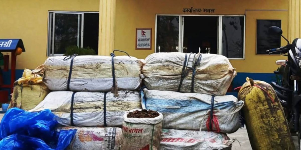 सप्तकोशीबाट २२५ केजी गाँजासहित दुई पक्राउ, कारबाट थप १५ किलो बरामद